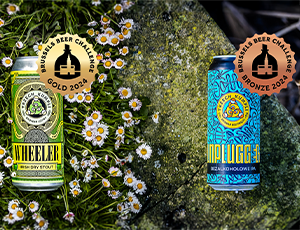 Anteprima dell'articolo - Il Miglior Dry Stout al Brussels Beer Challenge 2024!